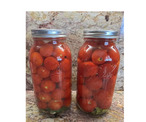 Delicious Factory In Vietnam Big Sale Premium Quality Top Selling Baby <b>Pickled</b> Tomato Bulk Packaging - Product Image 3