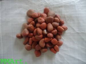 Galets de pavage en agate jaspe rouge naturel, polis haute brillance, écologiques, pour aménagement paysager de jardin en vrac - Product Image 5