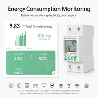 Interrupteur intelligent Tuya WiFi 2P avec compteur d'énergie 63A, protection contre les surtensions et les sous-tensions, protection contre les fuites, interrupteur à réenclenchement automatique PST-WTDZW-63A