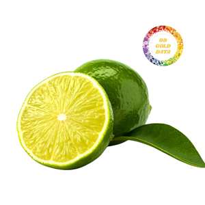 Limón Vietnamita Fresco Sin Semillas, Kumquat Calamansi Verde Seco de Alta Calidad y Jugoso, Directo de Granja, Precio Económico, Exportación - Product Image 2