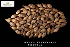 Producto agrícola Premium de Myrobalan-Fruta seca entera de Chebulic Myrobalan Hilly Region Western Maharashtra SPDK Agrosphere - Product Image 6