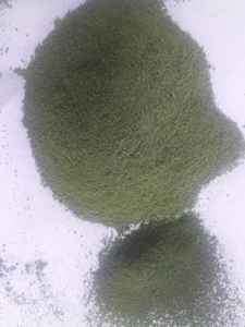 POLVO DE ALGA VERDE SECA PURA / ALGA ULVA LACTUCA DE VIETNAM // Evan - Product Image 4