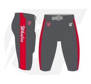 Ensemble de maillot et pantalon de football américain personnalisé, sublimé, OEM, vêtements d'équipe, pour jeunes et adultes, logo personnalisé, fabricant direct - Product Image 4