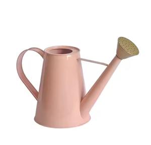 Arrosoir en métal multi-usages, outil d'arrosage de jardin pour herbes, fleurs, légumes - Product Image 1