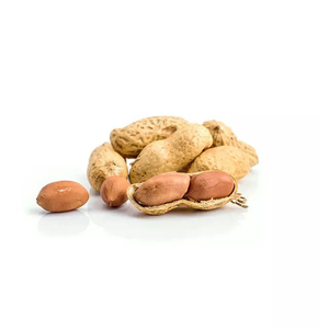 ถั่วลิสงคุณภาพเยี่ยม สำหรับตลาดค้าปลีกและขายส่ง - Product Image 1