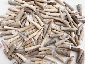 Botones de hueso ecológicos, botones de búfalo grabados a medida, botones de hueso natural, botones de ángel tallados al por mayor - Product Image 3