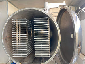 Équipement de lyophilisation sous vide en acier inoxydable contrôlé par PLC automatique WHFD-100 pour la transformation alimentaire commerciale, longue durée de vie - Product Image 6