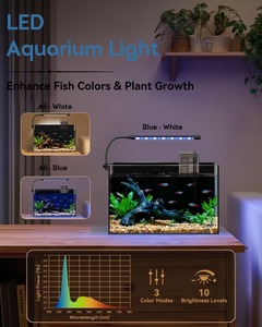 Glass Fish Tank Kit, 5 Gallon Betta Fish Tank <b>Aquarium</b> Starter Kit with Filter, Lights, <b>Lid</b>, for Betta, Goldfish, Small Fish - Product Image 4