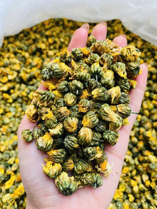 ชาดอกเบญจมาศธรรมชาติจากเวียดนาม ชาดอกไม้แห้งทั้งดอก กลีบดอกไม้แห้งสำหรับเครื่องดื่ม บรรจุภัณฑ์ 100 กรัม ดอกเบญจมาศแห้งแบบเป็นช่อ - Product Image 5