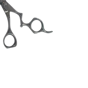 Ciseaux professionnels en acier inoxydable avec trou rond, design pour droitiers et étui en cuir pour adultes - Product Image 3