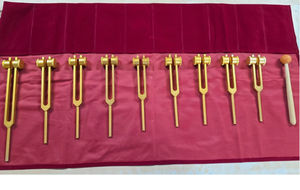 Juego de diapones profesionales Mars Solfeggio 9 con peso (dorado) de alta calidad. - Product Image 2