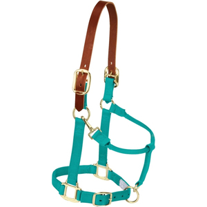 Cabestro de cuero y nailon resistente estilo inglés, ajustable, tamaño personalizado, con hebilla de latón y herrajes metálicos fuertes para caballo. - Product Image 3