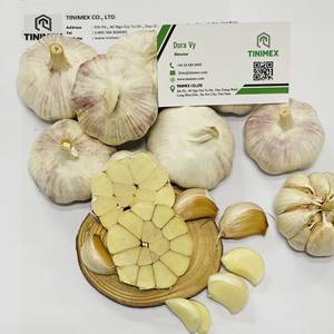 กระเทียมสดเวียดนาม lehsun/Bawang putih/ ninniku-พร้อมสำหรับการส่งออก (วา84 + 36 680 8683) - Product Image 1