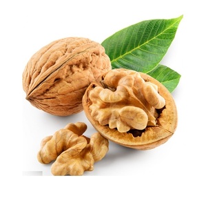เมล็ดวอลนัทดิบคุณภาพสูง สดใหม่ เหมาะสำหรับการอบและทำอาหาร - Product Image 3