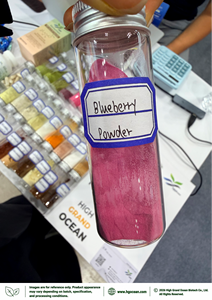 Poudre de Myrtille Naturelle Séchée par Pulvérisation (Qualité Alimentaire) Fourniture Directe Usine HGO – Poudre de Fruit Séchée par Pulvérisation ou Lyophilisée - Product Image 2