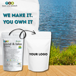 Eliminador de lodos de estanque Maquinaria de tratamiento de agua para una gestión eficiente de lagunas de aguas residuales - Product Image 1