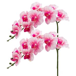 THAF-014 Tallos de Phalaenopsis de Primera Calidad con Tacto Real, Flores de Orquídea de Látex de Alta Calidad para Arreglos Florales Interiores Elegantes - Product Image 1