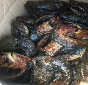 VAN BACH TUNG VIETNAM Poisson-chat entier fumé séché, riche en protéines, aliment sain, salé, emballé sous vide, qualité supérieure, 100% naturel, OEM - Product Image 3