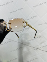 Lunettes de soleil carrées sans monture en argent 925 avec moissanite et détails de branches en diamant, style luxe hip-hop, unisexe