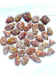 Wholesale Hot Selling Quality Natural Palm Root Agate Cabochon Mix Shape Size Flat Back Gemstones Best Quality Handmade <b>Stone</b> - Product Image 3