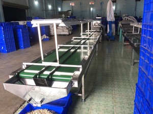 Extienda la vida útil de la máquina de envasado al vacío para mantener la calidad y el sabor de los anacardos - Product Image 4