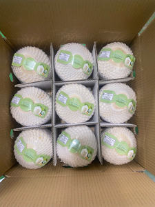 Frais Jeune Noix De Coco Tropical Vietnam OEM Marques TECHMIFOOD Exportation Standard Haute Qualité Doux Et Savoureux - Product Image 3