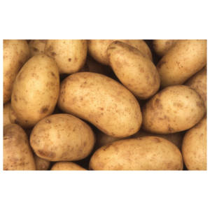 high quality cheap price professional export wholesalers <b>fresh</b> <b>potato</b> for sale Vegetable <b>Fresh</b> <b>Potato</b> <b>Fresh</b> <b>potatoes</b> - Product Image 6