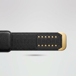 Ceinture de championnat de lutte personnalisée, design aile dorée, plaques métalliques noires quatre faces, plaques numérotées de 2 mm/4 mm d'épaisseur, lutte centrale - Product Image 5