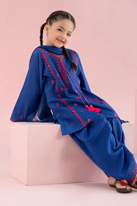 Hermoso Shalwar Kameez Largo Hecho a Mano para Mujer, Elegante, Tradicional, Cómodo, para Fiestas/Bodas/Uso Diario, de Seda y Algodón - Product Image 2