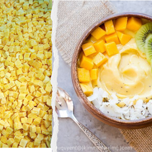 Mango Congelado IQF de Vietnam en Cubos y Mitades, Alta Calidad, Envasado al Vacío, Suministro a Granel para HORECA y Fabricación - Almacenamiento a -18°C - Product Image 6