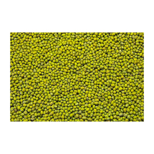 Haricots mungo nettoyés à la machine, légumineuses de qualité export, à faible humidité et haute pureté - Product Image 2
