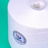 Fil à coudre en polyester filé 100% thermosoudable 40S/2 42S/2 haute ténacité pour la production de fils à broder, la confection de vêtements et textiles