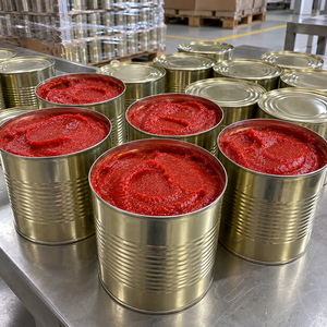 Suministro de procesamiento de tomate con pasta de tomate enlatada en latas a granel de color intenso para importadores de ingredientes alimenticios en todo el mundo - Product Image 1