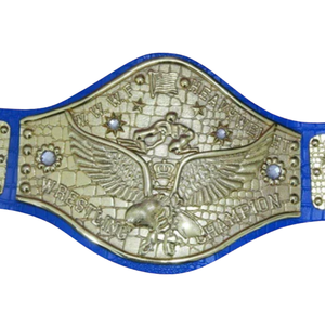 Ceinture de champion de lutte en gros, design plaqué or avec plaques de pays personnalisées, qualité supérieure - Product Image 5