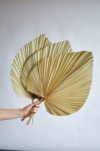 Abanico de Hoja de Palma de Grado de Exportación con Borlas Decorativas, Abanico Rústico para Colgar en la Pared, Exportador de Vietnam - Product Image 4