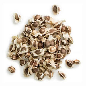 Graines de Moringa en gros de qualité cosmétique pour les formulations de soins capillaires et cutanés, avec des graines de Moringa favorisant le conditionnement des cheveux - Product Image 1