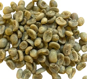 ขายส่งเมล็ดกาแฟคุณภาพพรีเมียม พร้อมส่ง คุณภาพเยี่ยม สำหรับส่งออกจำนวนมาก - Product Image 1