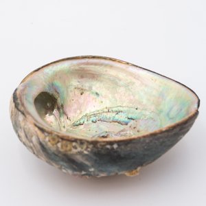Decorative <b>abalone</b> <b>shell</b> sage burning seashell <b>abalones</b> competitive price natural seashells - Product Image 5