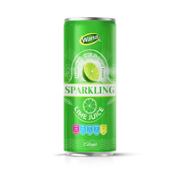 Vietnam Beverage Company OEM/ODM Verbetert de spijsvertering, gearomatiseerd natuurlijk fruit sap, frisdrank, bruisend passievrucht frisdrank