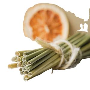 100% Pajitas de hierba orgánicas | Pajitas de hierba no tóxicas | Pajitas de hierba hechas en Vietnam por Eco2go-precio al por mayor - Product Image 1