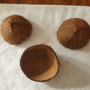 Coques de noix de coco brutes broyées du Tamil Nadu, qualité A, 3-6 cm, pour la production de bio-carbone et la filtration des métaux lourds dans l'eau - Product Image 2