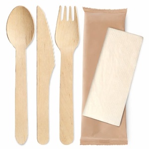 Cuillère en bois de bouleau éco-responsable 155 mm – Vaisselle durable pour desserts glacés, service de fête, hôtellerie et restauration - Product Image 1