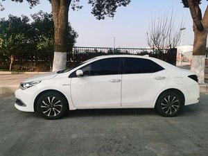 Toyota Corolla 2017 Facelift Dual Engine 1.8L E-CVT Leading Edition Usata - Prezzo Vantaggioso, Efficiente nei Consumi, Vendita Calda - Product Image 6