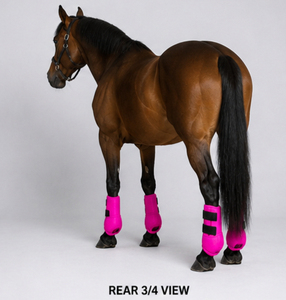 Bottes de protection équestres en néoprène, absorbant les chocs, respirantes, durables, offrant un soutien de la jambe, service OEM personnalisé. - Product Image 5