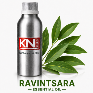 Proveedor Directo de Fábrica, Aceite Esencial de Ravintsara 100% Puro, Cinnamomum Camphora, Certificado Orgánico, Exportador Global, Fabricante - Product Image 1
