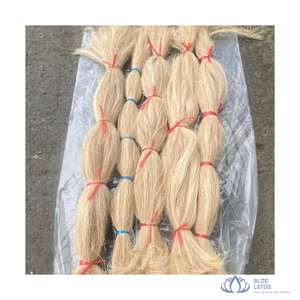 [BEST PRICE] | Soft Banana Pineapple Fiber Material Thread Raw Yarn for Wig Making Textile Weaving Use from Blue Lotus Farm - Product Image 1