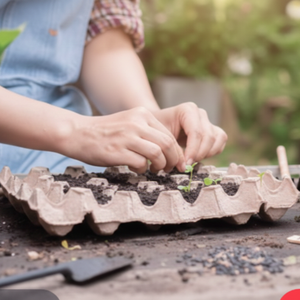 ถาดเพาะกล้าเยื่อกระดาษย่อยสลายได้เป็นมิตรกับสิ่งแวดล้อม เหมาะสำหรับใช้ในบ้าน การเกษตร และป่าไม้ - Product Image 2