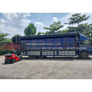 Lata de cerveza de vapor especial Saigon al por mayor de 330ml de Vietnam/cerveza especial Saigon de 330ml al por mayor cerveza de Vietnam en lata de aluminio - Product Image 3