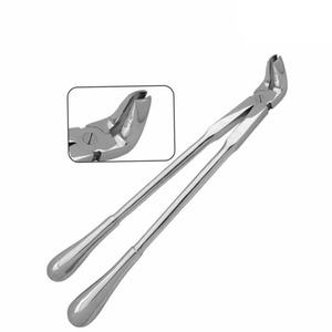 Forceps d'extraction dentaire vétérinaire pour molaire supérieure d'équidés avec poignée robuste en acier inoxydable, disponible dans toutes les versions - Product Image 1