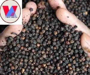Pimienta Negra de Vietnam, Granos de Pimienta Enteros, Especias Secas, Suministro a Granel para Procesamiento de Alimentos - Product Image 1